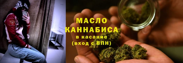 соль ск Вяземский