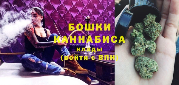 соль ск Вяземский