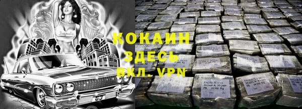 соль ск Вяземский
