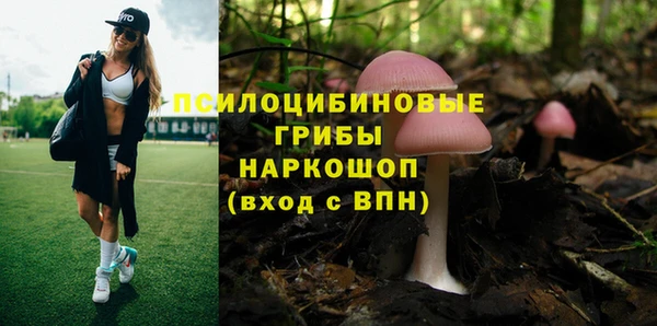 дурь Вязьма