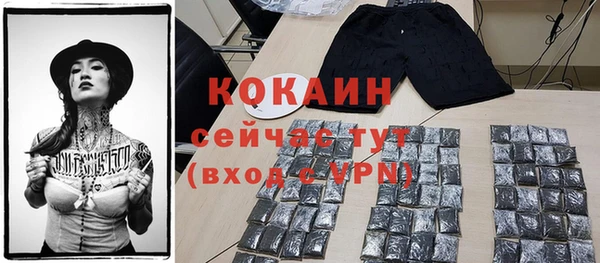 соль ск Вяземский