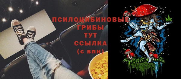 стаф Вязники